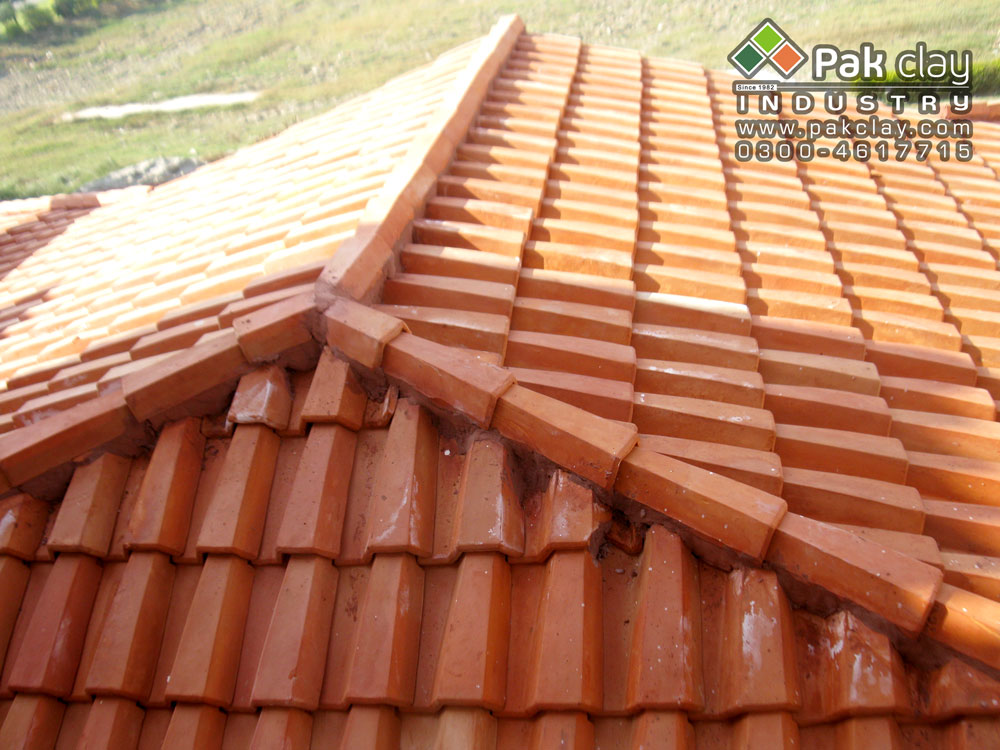 Italian Taylor Roof Tiles 8x6"