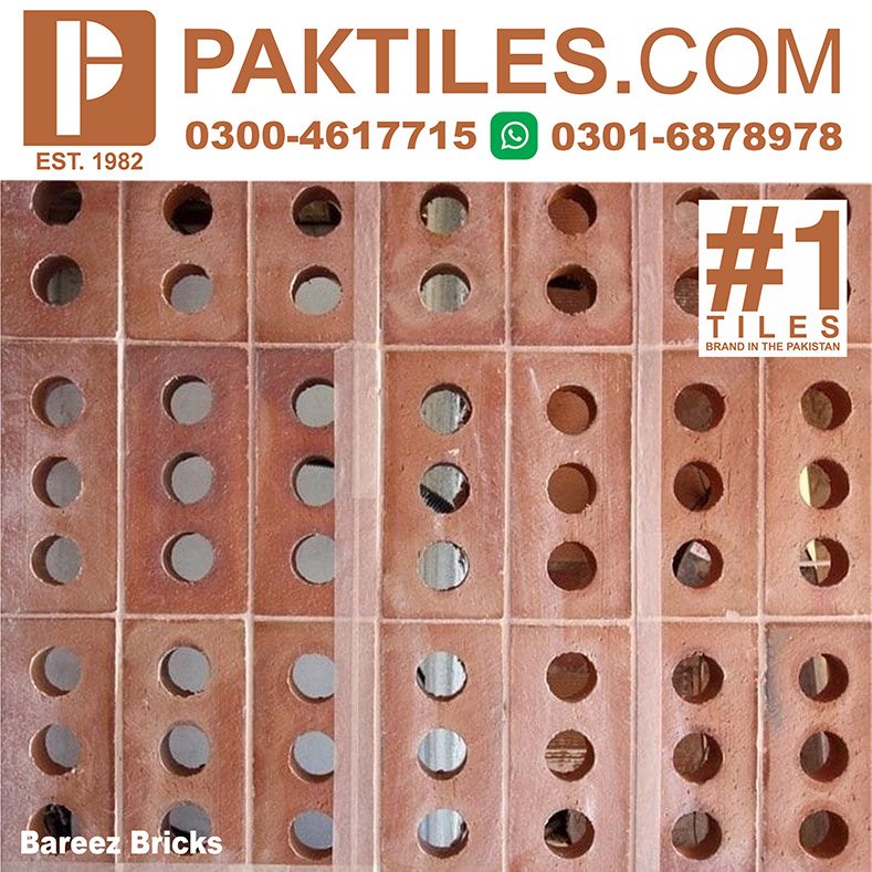 Hollow Bricks Wall Tiles Design in Pakistan
